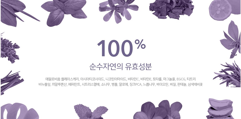 아클레온_03