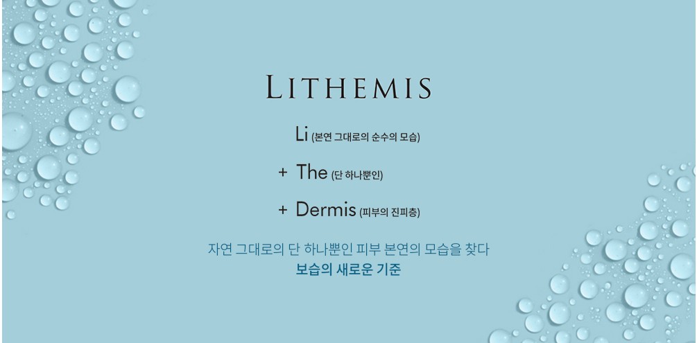 리더미스_03